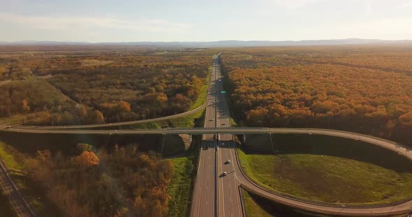 Autumn Aerial View of Highway Road Junction in the Countryside with Trees