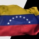 Flag Of Venezuela - VideoHive Item for Sale