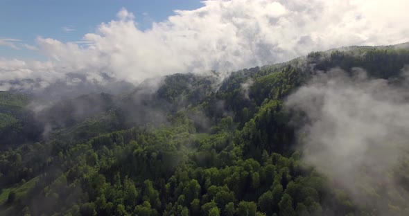 Forest steam clouds aerial timelapse