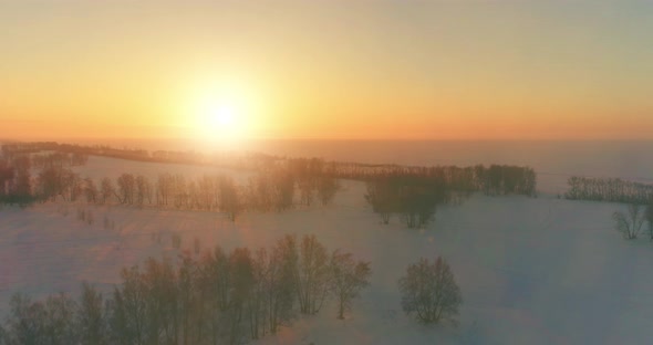 Aerial Drone View of Cold Winter Landscape with Arctic Field Trees Covered with Frost Snow and