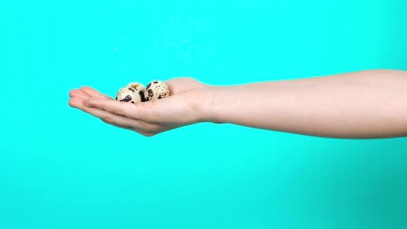 The Side Hand of a Woman Holding Quail Eggs.