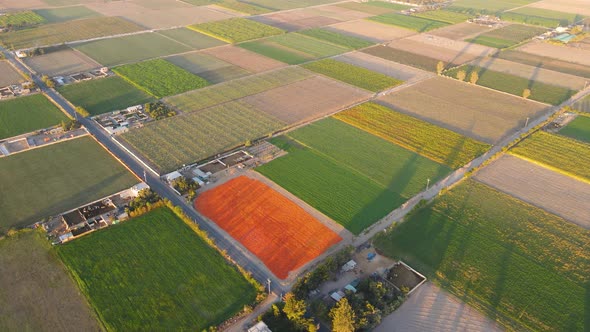 Pedregal Aerial shots of the area and its way of farming and life, at different times of the day. 2