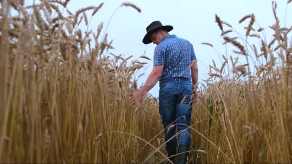 A young farmer, holding spikelets in his hands, rejoices in a good harvest.