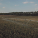 water distribution in the field - VideoHive Item for Sale