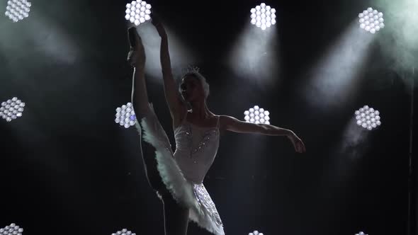 Classical Ballet Choreography Perfoming By Young Beautiful Graceful Ballerina in White Tutu. Shot in