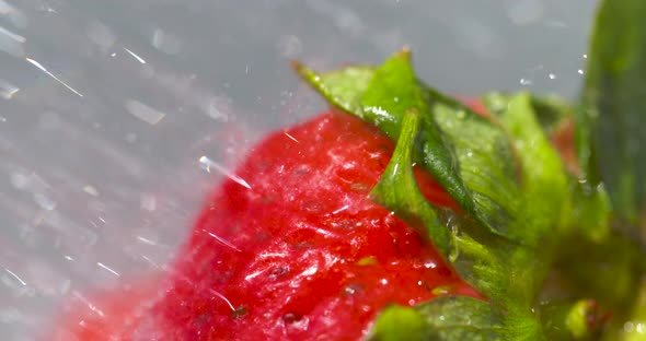 Macro close up washing a colorful, delicious, ripe strawberry in the sunlight