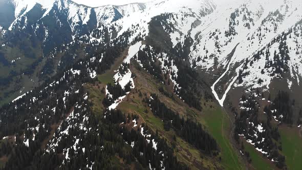 Aerial drone snow-capped mountains landscape with green forest during cloudy rainy weather