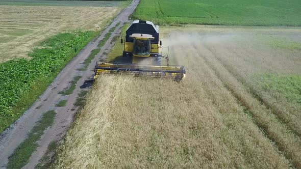 Combine Harvester Harvests Ripe Wheat