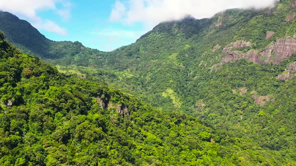 Green Rainforest and Jungle in the Mountains of Sri Lanka View From Above