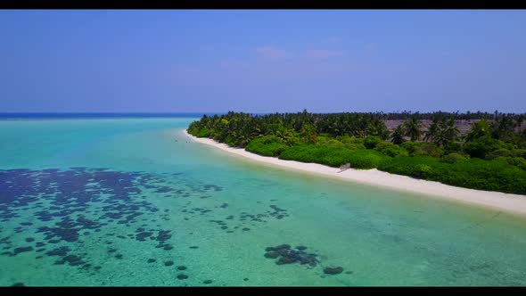 Aerial top down nature of paradise shore beach wildlife by shallow water with bright sandy backgroun