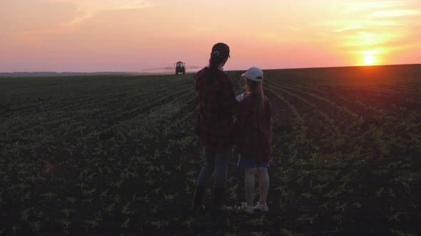 Young Mother Farmer Teaches Her Daughter To Work in a Wheat Field. Silhouette of a Farmers Family in