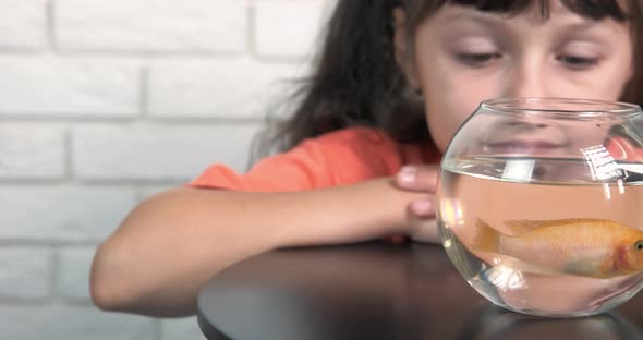 Child by bowl with fish. 