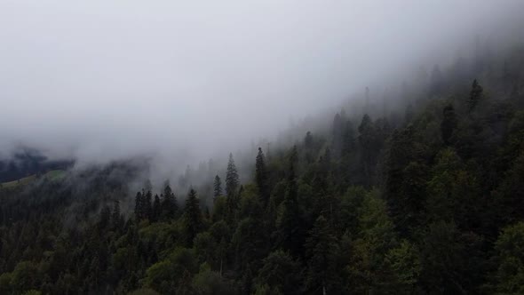 Dramatic Fog Over Mountain Forest, Aerial View