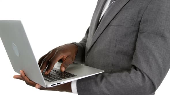 Businesman using laptop