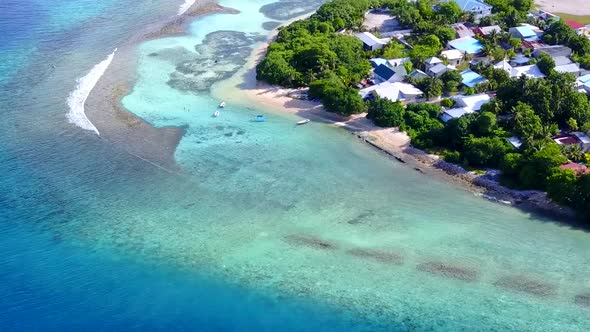 Aerial view scenery of sea view beach wildlife by blue sea and sand background