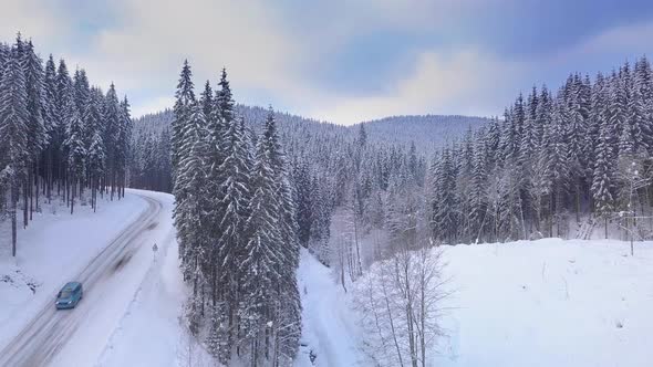 Flying in the Winter Forest