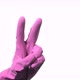 Hand with Purple Rubber Glove is Pointing - VideoHive Item for Sale