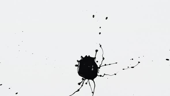 Dripping Spreads Black Paint with Splashing Drops on White Background Close Up