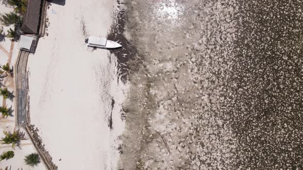 Low Tide in the Ocean Near the Coast of Zanzibar Island Tanzania