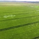 Aerial Shot of a Huge Farming Land with Many Ditches on a Sunny Day in Summer  - VideoHive Item for Sale