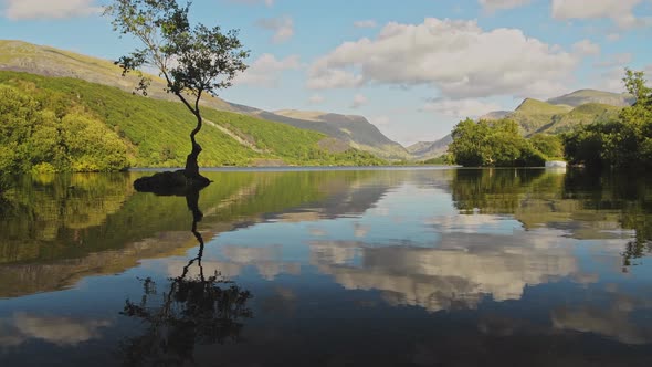 Clouds reflecting on lakes surface with beautiful british landscape reflections of lone tree and clo