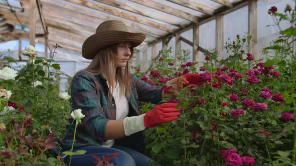 Girl Florist in a Flower Greenhouse Sitting Examines Roses Touches Hands Smiling. Little Flower