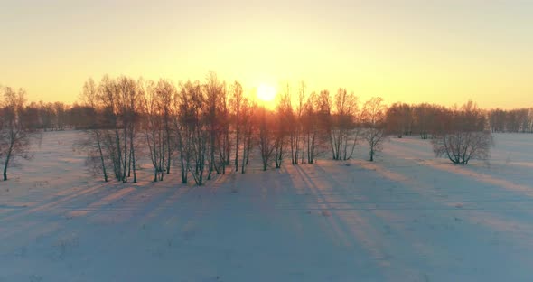 Aerial Drone View of Cold Winter Landscape with Arctic Field, Trees Covered with Frost Snow and