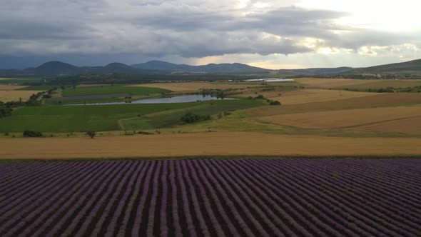 Lavender Plantings Aerial View 3