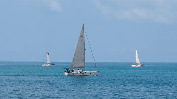 Sailing Boat Races