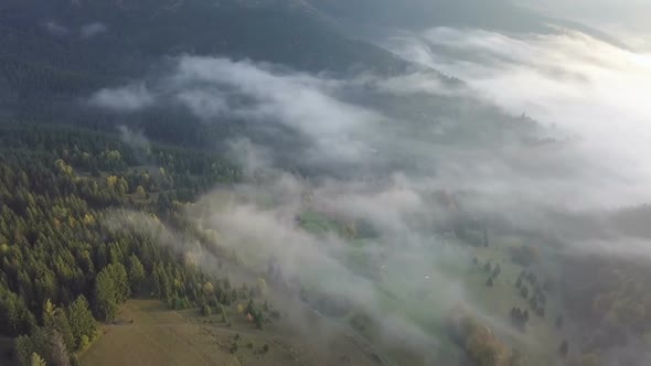 Aerial View of Morning Foggy Forest in Autumn Country at Golden Sunrise over Mist Nature