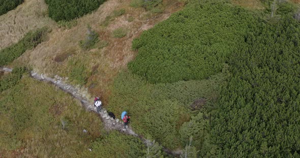 two tourists with trekking sticks in bright clothes and a black dog walk a path in the mountains