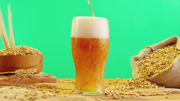 Foamy Beer in Glass Closeup