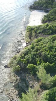 Zanzibar Tanzania  Ocean Shore Covered with Green Thickets Vertical Video