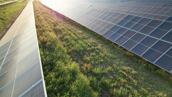 Aerial View Solar Power Station on Green Field at Sunset Solar Panels in Row