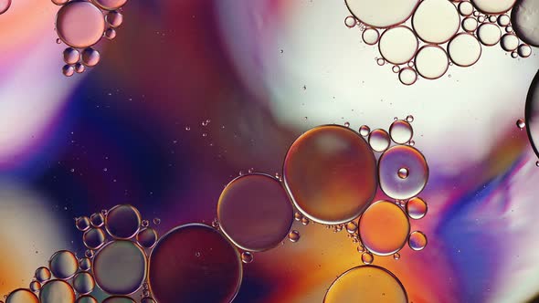 Abstract Colorful Food Oil Drops Bubbles 256