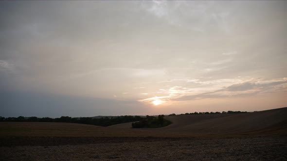 Landscape of wheat field at sunset time
