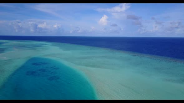 Aerial flying over texture of tropical shore beach wildlife by turquoise water with bright sand back