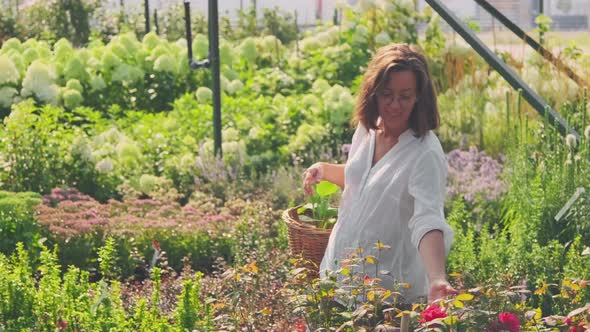 Woman Walking In Summer Garden