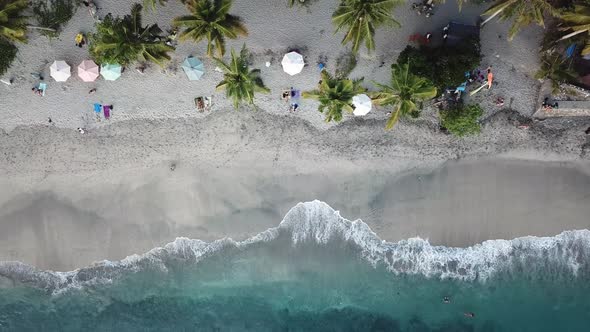 Aerial overhead view the beach on the island of nusa penida. Tropical palm trees grow on the beach a