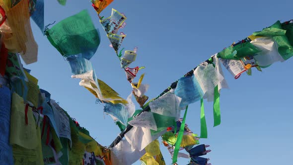 Wild Horse Flags Waving in The Wind