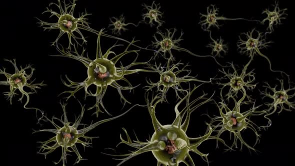 3D Animation of neural network and neurons firing