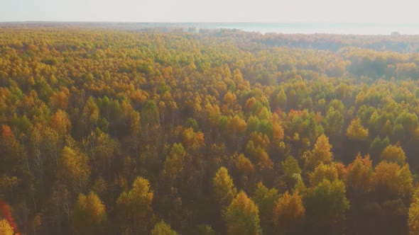 Aerial Video of Forest in Autumn at Sunset, Countryside