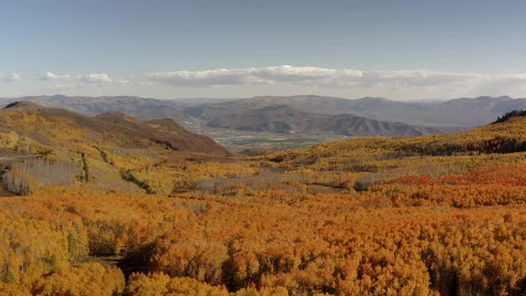 The colorful changing tree colors of Norther Utah. The yellow trees shown in the fall in the mountai