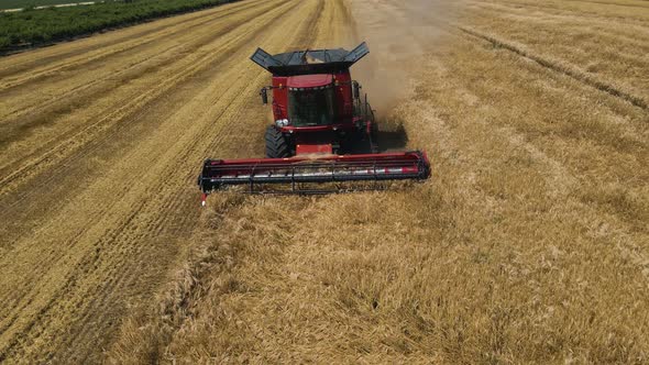 Drone Shot Over Combine Working on Wheat Fields During Harvesting