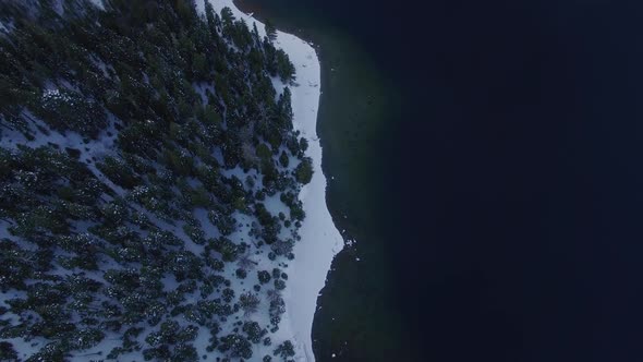 Frozen Lake & Snowy Wood