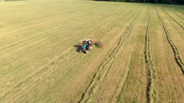 Top View of a Tractor Raking Hay in Rows with a Disc Rake. Aerial View