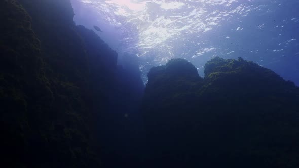 Underwater shot of an underwater cliff in mediterranean sea. Little fishes passing by and waves crus