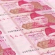 One Hundred Rupee Note Bill Pakistan Infinite Loop 4K Resolution - VideoHive Item for Sale