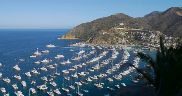 Bay and Town of Avalon on Catalina Island