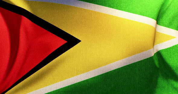 Guyana - Flag 4K